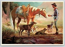 Aravaipi sheep herder for sale  Waco