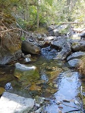 Gold acre mineral for sale  Redding