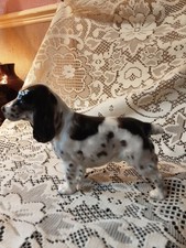 Royal doulton dog for sale  SCUNTHORPE