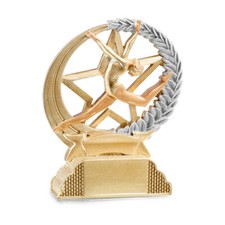 Trofeo ginnastica artistica usato  Capua