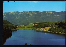 Lago monticolo montiggler usato  Monza