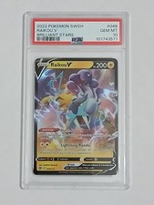 Raikou 048 2022 d'occasion  Valence