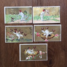 Chromos pierrot oiseaux d'occasion Chromos pierrot oiseaux d'occasion  Nantes-