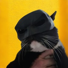 Bat style mask for sale  SWANSEA