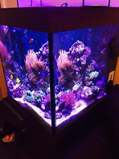 Rose bubble tip, used for sale  MANCHESTER