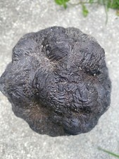Marcassite boule tonerre d'occasion  Sarry