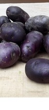 Patata viola seme usato  Luzzi