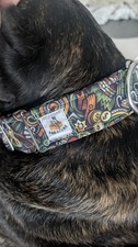 Halsband große hunde gebraucht kaufen Halsband große hunde gebraucht kaufen  Witten