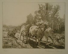Pierdomenico cabras acquaforte usato  Sassari