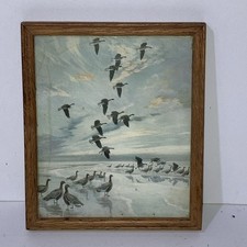 Small vintage peter for sale  SHREWSBURY