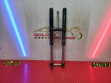 Front fork forks usato  Italia