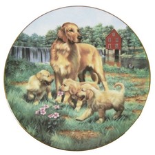 Golden retrievers collector for sale  Cleveland