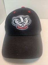 Wisconsin badgers bucky for sale  Rapid City