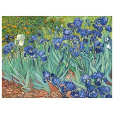stampe quadri van gogh usato stampe quadri van gogh usato Erba