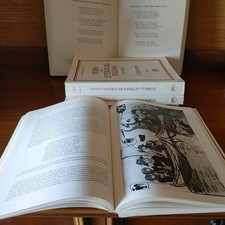 Storia letteratura italiana usato  Milano