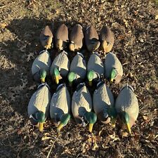 Flambeau mallard duck for sale  Crisfield