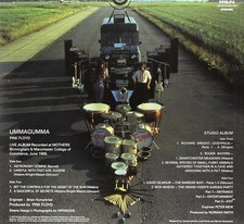 Ummagumma classica pink usato  Castellabate