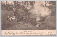 Rabbit shooting party for sale Rabbit shooting party for sale  MANCHESTER
