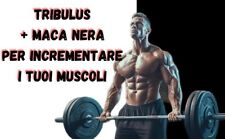 Uomo compresse testosterone usato  Scafati