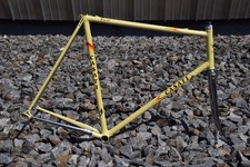 Casati monza gold gebraucht kaufen  München