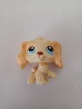 2005 cocker spaniel for sale  Cairo