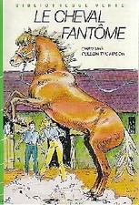 Cheval fantôme christine d'occasion  Hennebont