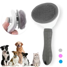 Grosse brosse toilettage d'occasion  France