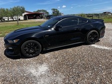 2018 ford mustang for sale  Corpus Christi