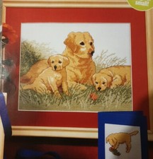 Cross stitch chart for sale  ABERDEEN