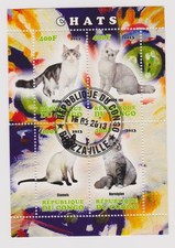 Chats d'occasion  Meyzieu