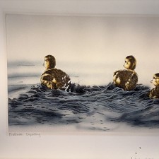 Sueellen ross mallards for sale  Chelsea