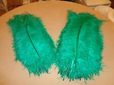 Green spadone ostrich for sale  CANVEY ISLAND