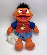 Fisher price ernie gebraucht kaufen  Ebersdorf b.Coburg