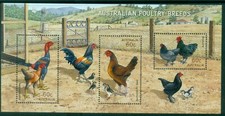 Usado, MINI FOLHA DE SELO DE GALINHAS RAÇAS AVÍCOLAS AUSTRALIANAS ESTADO PERFEITO 2013 comprar usado  Enviando para Brazil