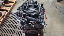 2005 2006 ford for sale  Saint James