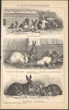 1897 gravure originale d'occasion  Besançon