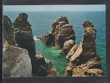 Cartolina antioco nido usato  Italia