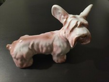 Denbac rare chien d'occasion  Bordeaux-