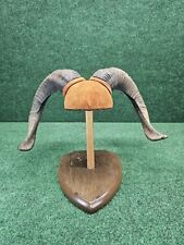 Rams horn taxidermy for sale  Mansfield