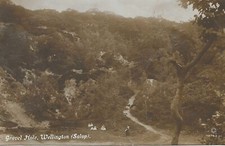 Wellington gravel hole for sale  UK