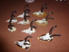 Gams jagdtrophäe gamsbock gebraucht kaufen  Sonthofen