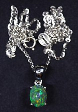 Pal anhänger silber gebraucht kaufen  Lasbek, Pölitz, Steinhorst, Stubben