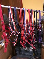 Pack nylon headcollars for sale  CUMNOCK