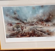 50th anniversary david for sale  SAXMUNDHAM