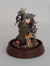 miniature bird for sale miniature bird for sale NORTHAMPTON