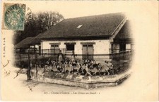 Old postcard fontainebleau d'occasion  Expédié en Belgium