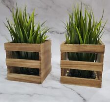 artificial decor pair plant for sale artificial decor pair plant for sale Fuquay Varina