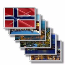 Norvegia frigo calamita usato  Motta Visconti