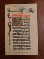 Rig chromolithographie buchdru gebraucht kaufen  Nauen