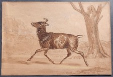 Acquerello antico 1830 usato Acquerello antico 1830 usato  Roma